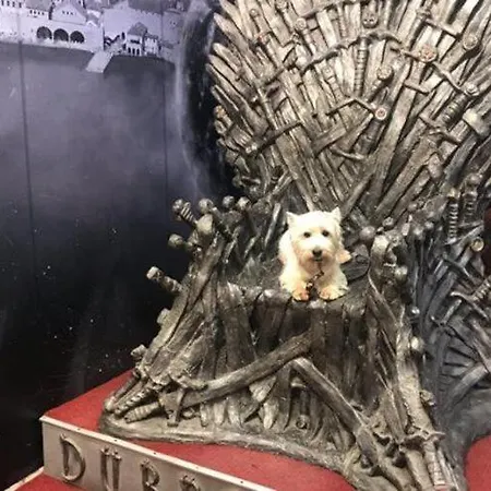 Carmen & Tosca -studio With Patio *