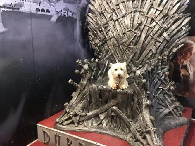 Carmen & Tosca -studio With Patio *